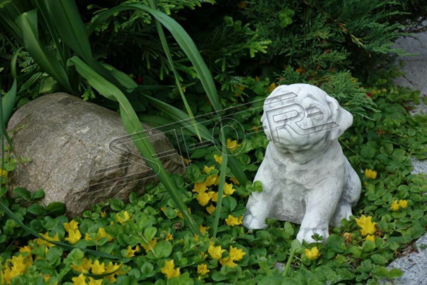 Garten Dekoration Hund Terrasse Stein Figur Figuren Weiß Dekorative Statue