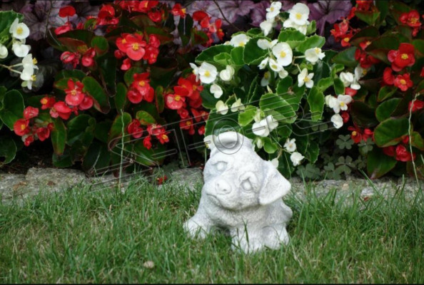 Garten Dekoration Weiß Hund Terrasse Stein Figuren Dekorative Statue Figur