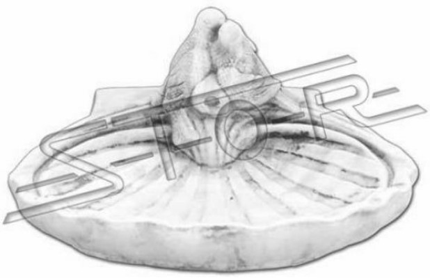 Vogel Tränke Skulptur Design Figur Statue Garten Figuren Statuen