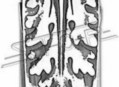 Wandrelief Steinplatte Bild Azteken Dekorative Antik Relief Steinguss Wand