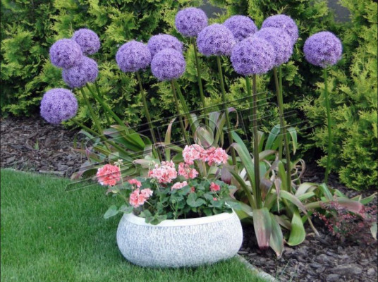 Blumenkübel Natur Pflanz Kübel Dekoration Garten Vasen Figur Blumentöpfe