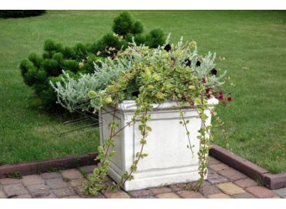 Blumenkübel Pflanz Kübel Dekoration Figur Vasen Garten Natur Blumentöpfe