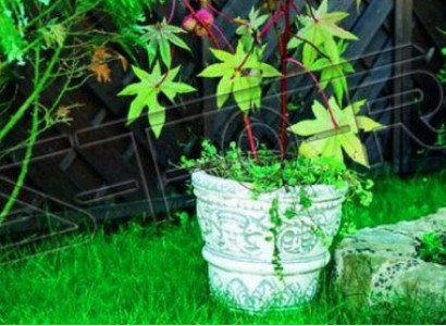 Blumenkübel Pflanz Kübel Dekoration Natur Figur Blumentöpfe Vasen Garten