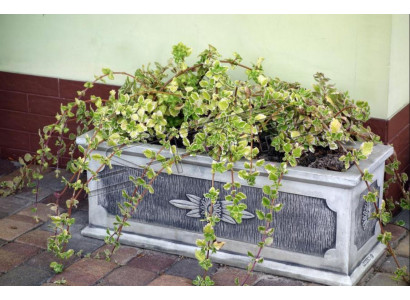 Blumenkübel Pflanz Kübel Dekoration Natur Figur Vasen Garten Blumentöpfe