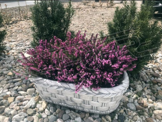 Blumenkübel Pflanz Natur Kübel Dekoration Garten Vasen Blumentöpfe Figur