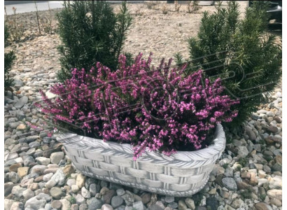 Blumenkübel Pflanz Natur Kübel Dekoration Garten Vasen Blumentöpfe Figur