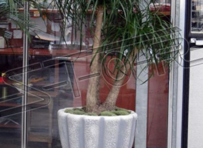 Blumentöpfe Kasten Topf Blumen Dekorative Töpfe XXL Beton Garten Terrasse