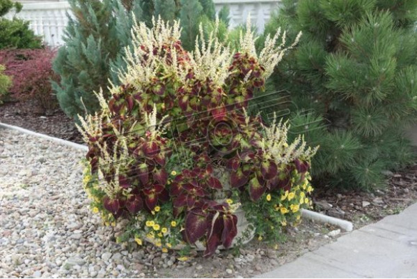 Blumentöpfe Kasten Topf Blumen Töpfe XXL Garten Dekorative Beton Terrasse