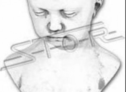 Büste Kind Antik Stil Altertum 43cm Stein Figur Skulptur Skulpturen