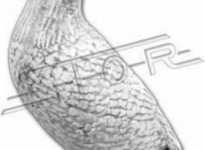 Garten Dekoration Ente Terrasse Stein Figuren Figur Statue Deko Skulptur