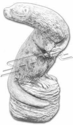 Garten Dekoration Frettchen Terrasse Stein Figuren Figur Deko