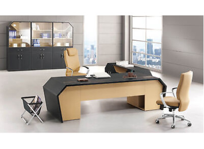 Leder Aktenschrank Design Glas Vitrine Bücher Schrank Regale Büro