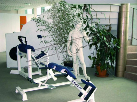 Adam 170cm Skulptur Design Figur Statue Garten Figuren Statuen