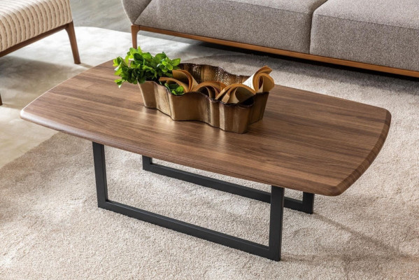 Couchtisch Kaffeetisch Sofatisch Kaffeetisch Braun Wohnzimmer Holz
