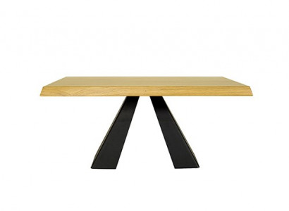 Couchtisch Sofa Tische Sofa Beistell Tisch Echtes Holz Massive Möbel 100x60cm