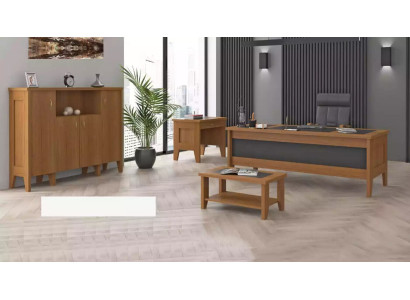 Komplettes Büro Schreibtisch Einrichtung Couchtisch Schrank 4tlg