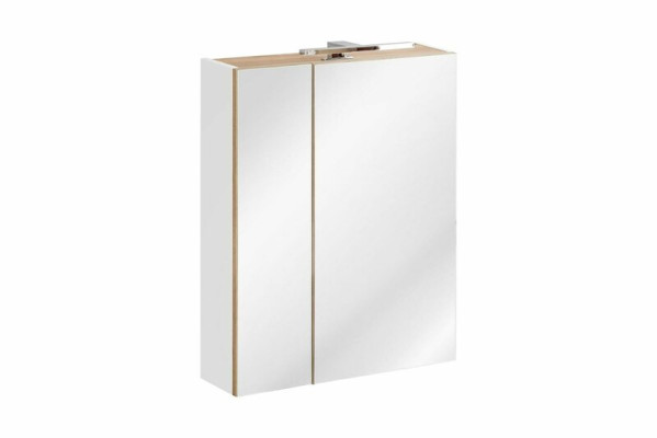 Spiegelschrank Badezimmerschrank Badspiegel 60x16x75 cm Schränke