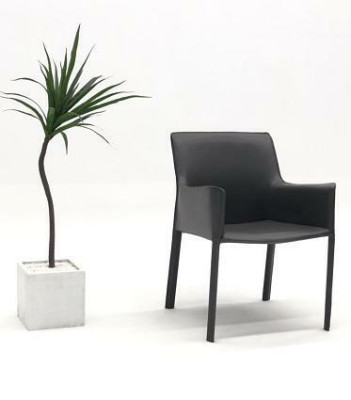 Design Lehn Stühle Polster Ess Zimmer Club Küche Lounge Wohn Möbel Stuhl Sessel