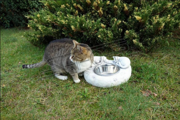 Wasser Trinkbrunnen Katzen Tränke Behälter Kunde Trink Gefäss