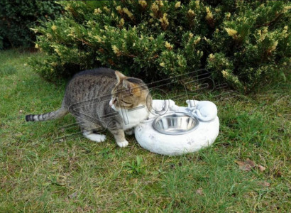 Wasser Trinkbrunnen Katzen Tränke Behälter Kunde Trink Gefäss