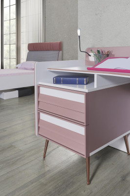Schreibtisch Holz Rosa Tisch Schreibtische Regal Möbel Jugendzimmer Design