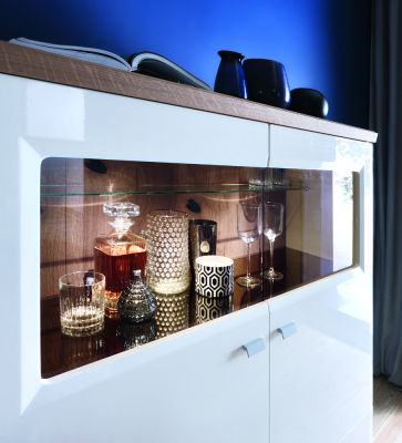 Vitrine Aktenschrank Schrank Vitrinen Büro Wohnzimmer Hochschrank Regal Neu ASKB