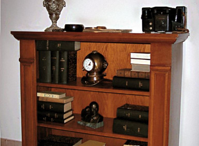 Bücherregal Vitrine Vitrinenschrank Klassische Schrank Bücherschrank Holz Neu