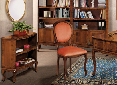 Bücherschrank Schrank Regal Echtholz Möbel Vitrine Büro Einrichtung Möbel Neu