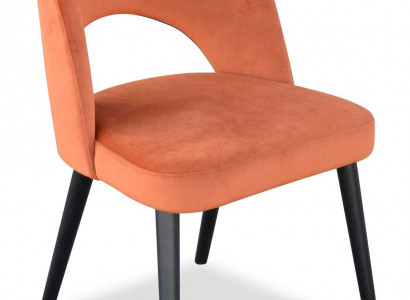 Luxus Design Polster Stuhl Esszimmerstuhl Sitz Lehn Esszimmer Holz Neu