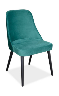 Esszimmer Stühle Stoff Stuhl Sitz Polster Holzstuhl Grün Holz Modern Neu