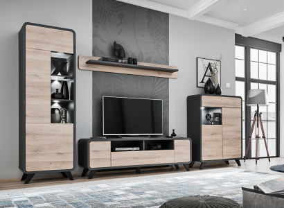 Wohnzimmer Set Wandregal TV-Ständer Holzmöbel 2x Vitrine Wohnwand Neu