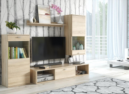 Wohnwand Modern Vitrine TV-Ständer Wohnzimmer Wand Regale Neu