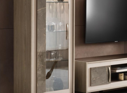 Vitrine Glasschrank Regal Bücherschrank Wohnwand Schrank Möbel Regale Wohnzimmer