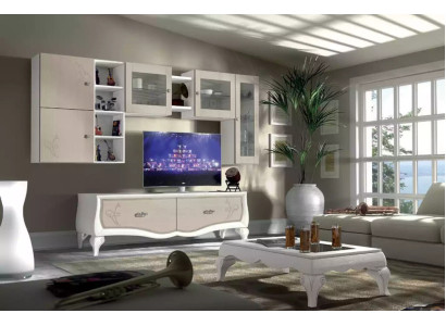 Wohnwand Wohnzimmer Luxus Set Vitrine Lowboard Wandregal TV 5 tlg. Neu