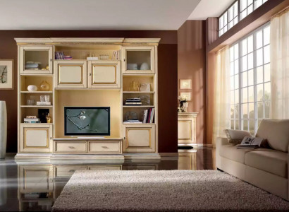 Klassische Wohn Wand Wohnzimmer Sideboard RTV Regal Wände Schrank Neu