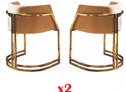 Luxus 2x Stuhl Esszimmerstuhl Küchenstühle Wohnzimmerstuhl Polsterstuhl Lehn Neu