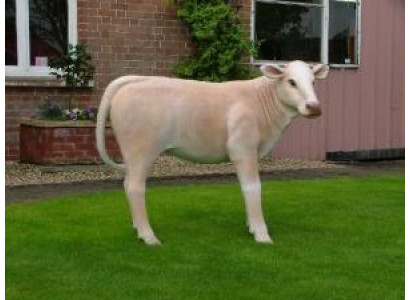 Designer Abstrakte Moderne Figur Dekoration Plastik Deko Garten Skulpturen