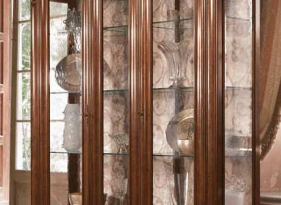 Vitrine Vitrinen Schrank Glasschrank Wohnzimmer Regal Barock Rokoko Echtes Holz