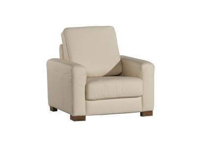 Sessel Einsitzer Lounge Sofa Fernseh Einsitzer Couch Wohnzimmer Möbel Sofas Neu