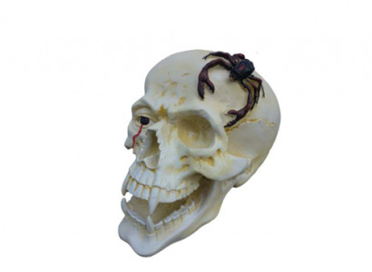 Schädel Kopf Skorpion Figur Statue Skulptur 44 cm Figuren Statuen Skulpturen N87