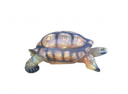 Dekoration Figur Wohnzimmer Moderne Statue Schildkröte Garten bemalt 110 cm Deko