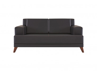 Couch Leder 2-Sitzer Sofa Schwarz Einfarbig Modern Design Ledesofa Holz