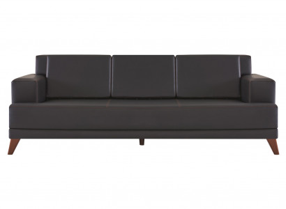 Ledersofa Modern 3-Sitzer Schwarz Einfarbig Couch Polster Kissen Holz
