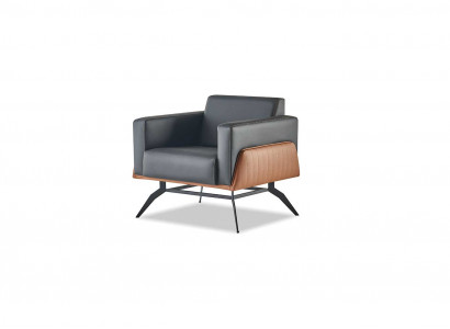 Lehnsessel Sessel 1-Sitzer Sitzmöbel Modern Leder Edelstahl Holz Zweisitzig