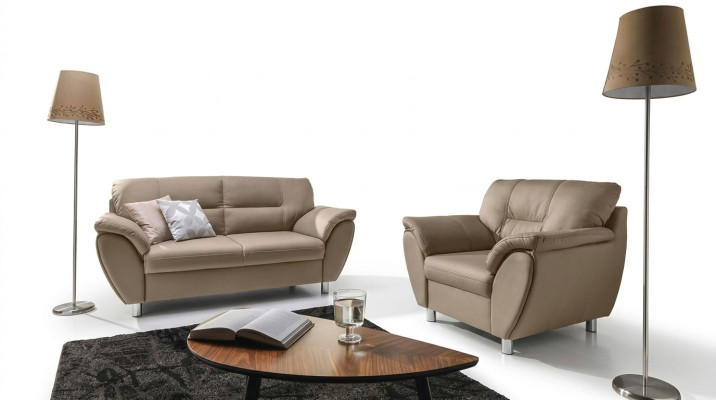 Das edle klassische 2-Sitzer-Sofa im Jugendstil passt in jedes InteriCHF
