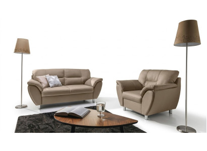 Das edle klassische 2-Sitzer-Sofa im Jugendstil passt in jedes InteriCHF