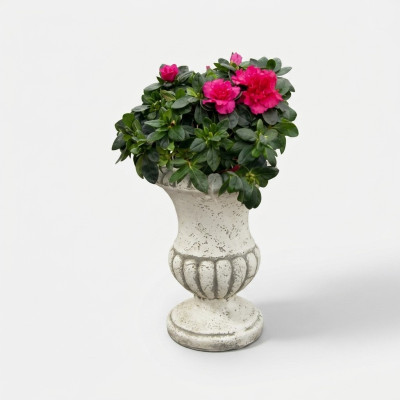 Blumenkübel Natur Pflanz Kübel Dekoration Figur Blumentöpfe Garten Vasen