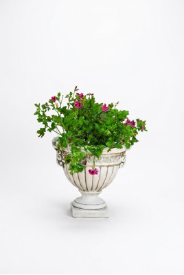 Blumenkübel Pflanz Natur Kübel Dekoration Figur Vasen Blumentöpfe Garten