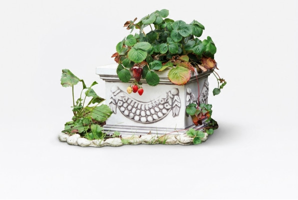 Blumenkübel Pflanz Natur Kübel Dekoration Figur Vasen Garten Blumentöpfe