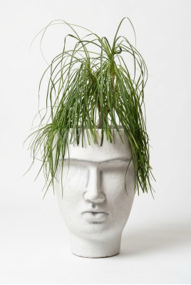 Design Blumentopf Top Planz Kübel Gefäß Deko Figur Töpfe Gesicht Skulptur